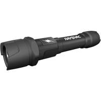 Lampe de poche pratiquement indestructible, DEL, 350 lumens, Piles AA Distribution Industrielle GC