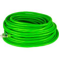 Cordon rallonge de calibre industriel, Toutes saisons, SJTW, AWG 10/3, 15 A, 50' Distribution Industrielle GC