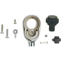 Ratchet Repair Kit Distribution Industrielle GC
